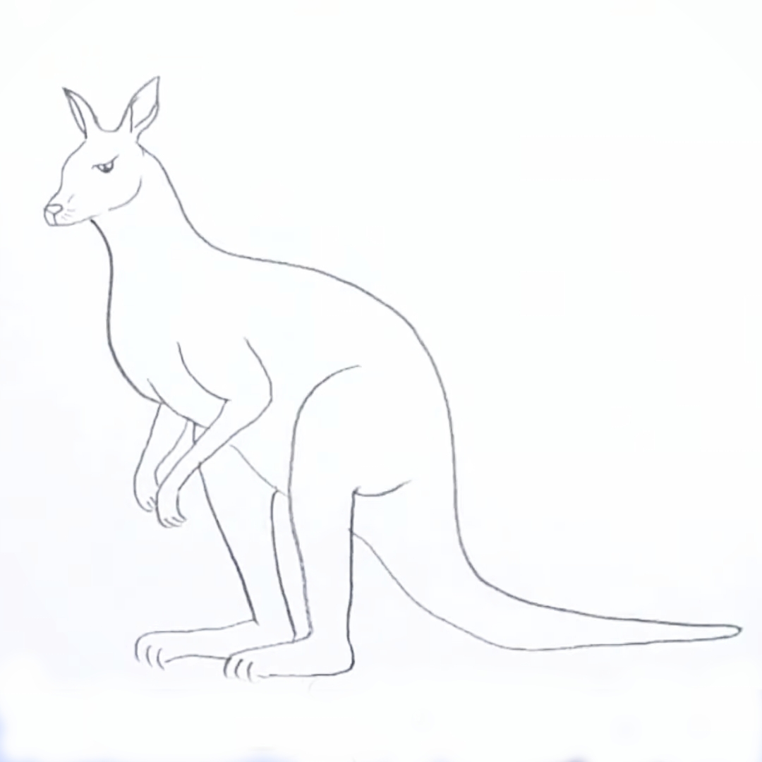 You are currently viewing Beautiful Kangaroo Drawing in 2023