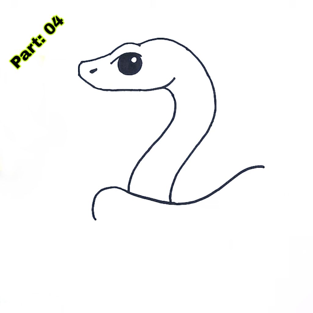 Snake Drawing