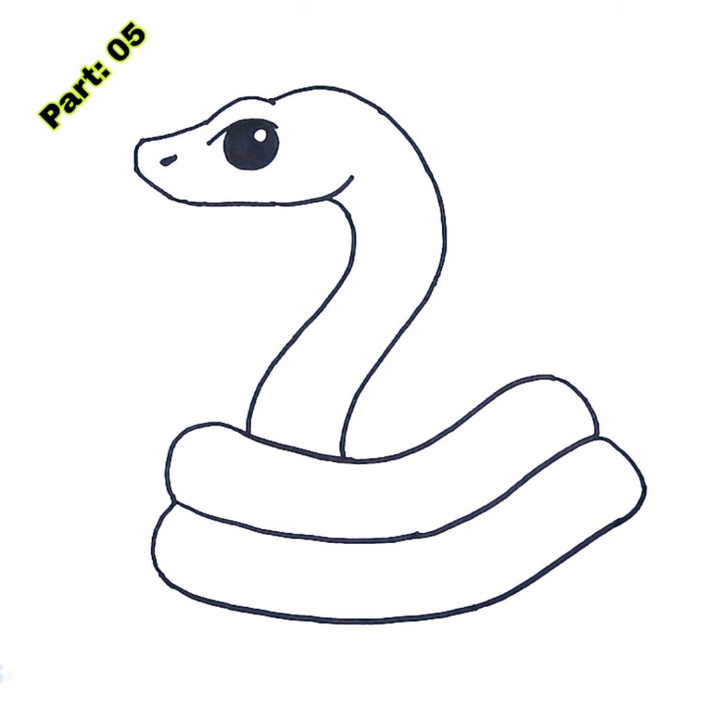 Snake Drawing