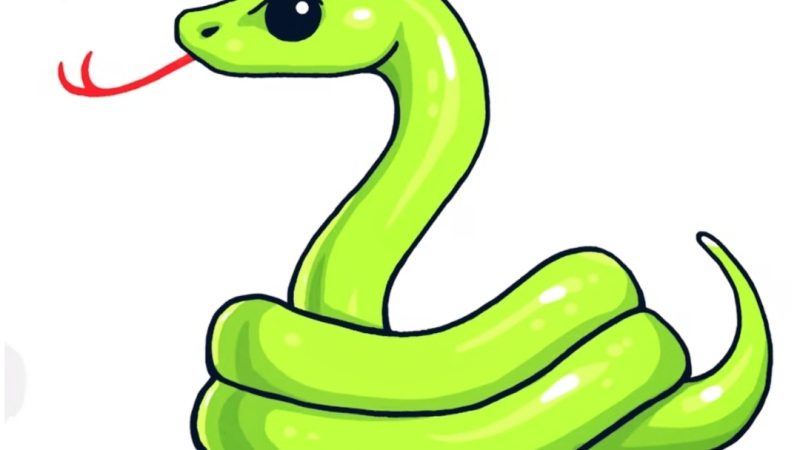 Snake Drawing