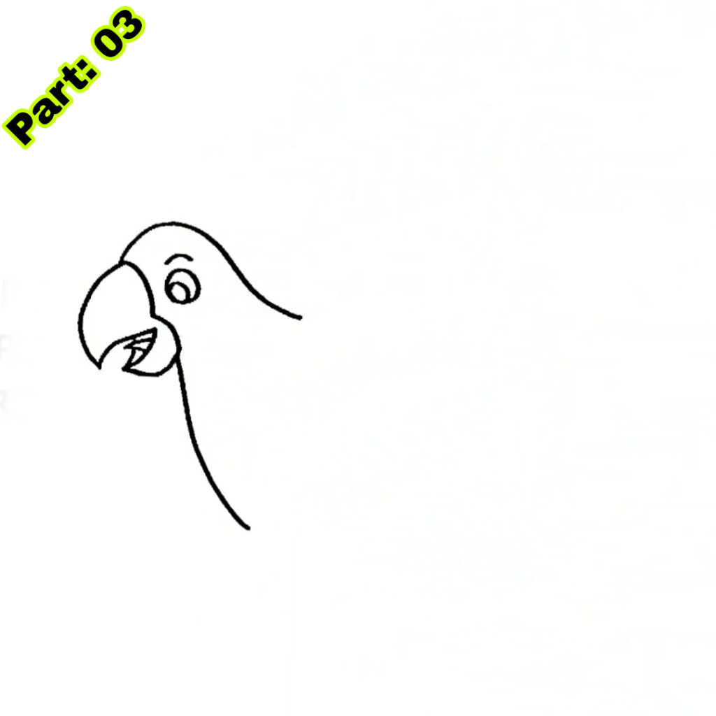 Parrot Drawing