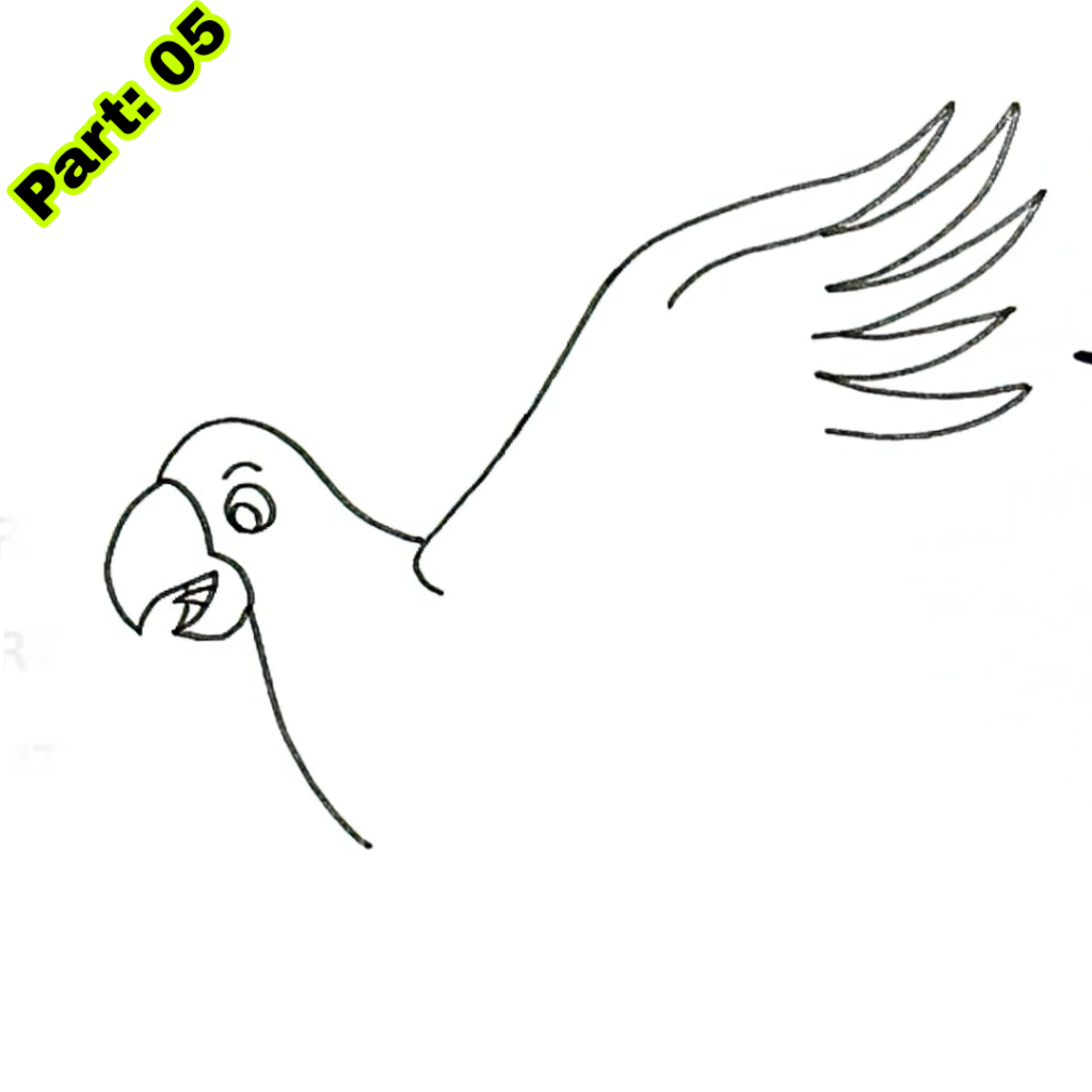 Parrot Drawing