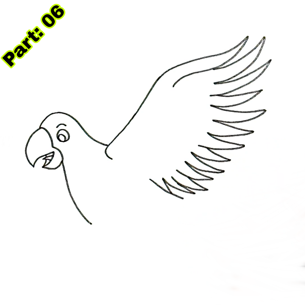 Parrot Drawing