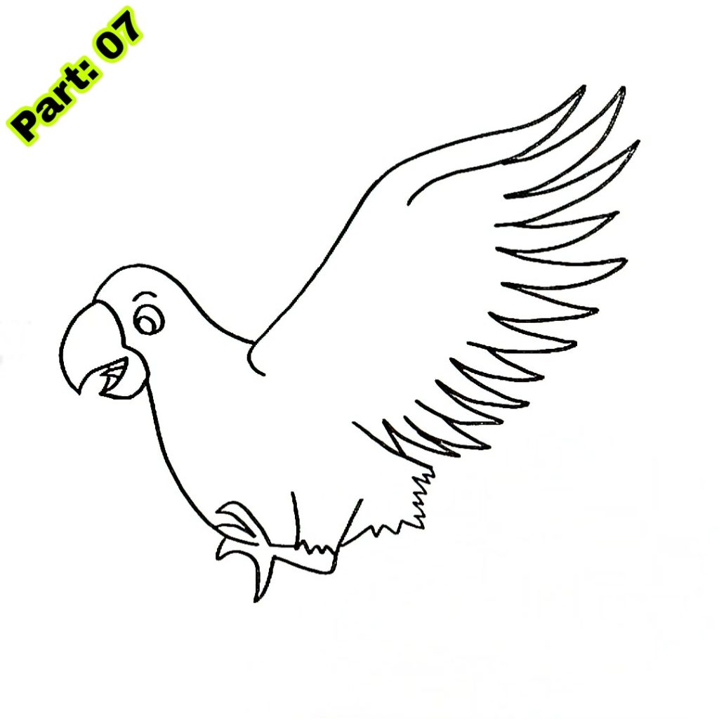 Parrot Drawing