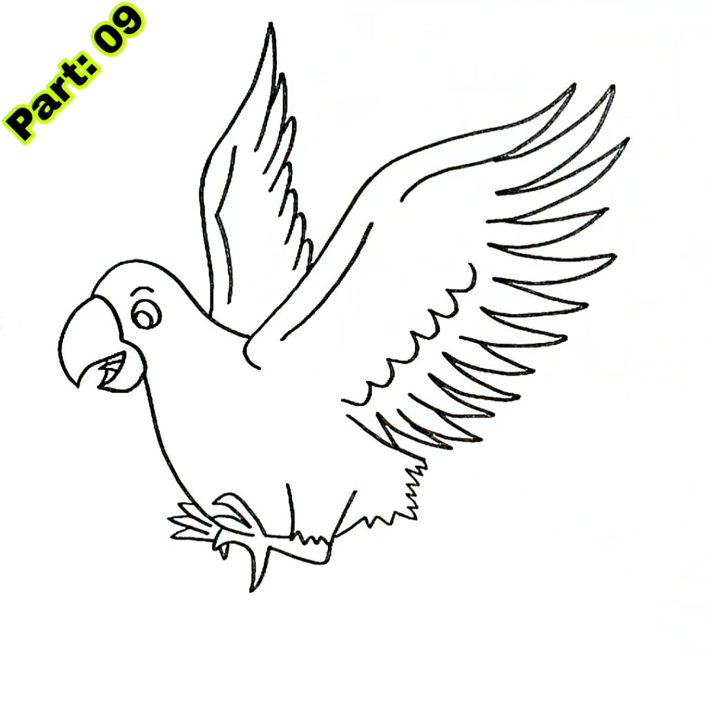 Parrot Drawing