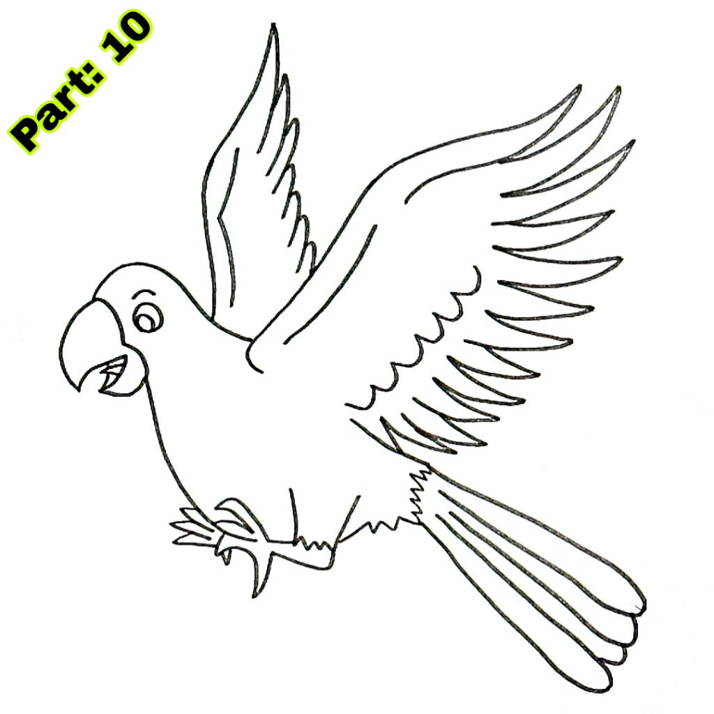 Parrot Drawing