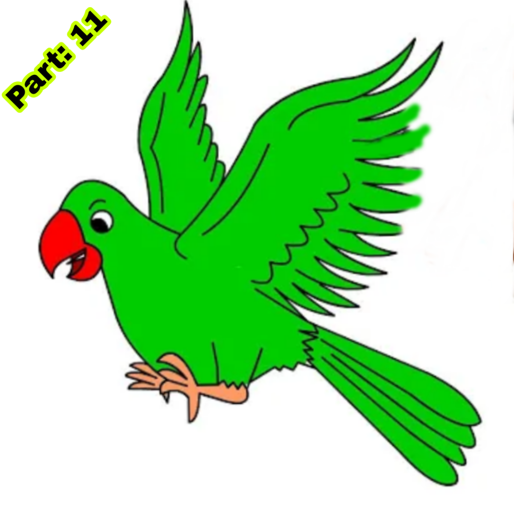 Parrot Drawing