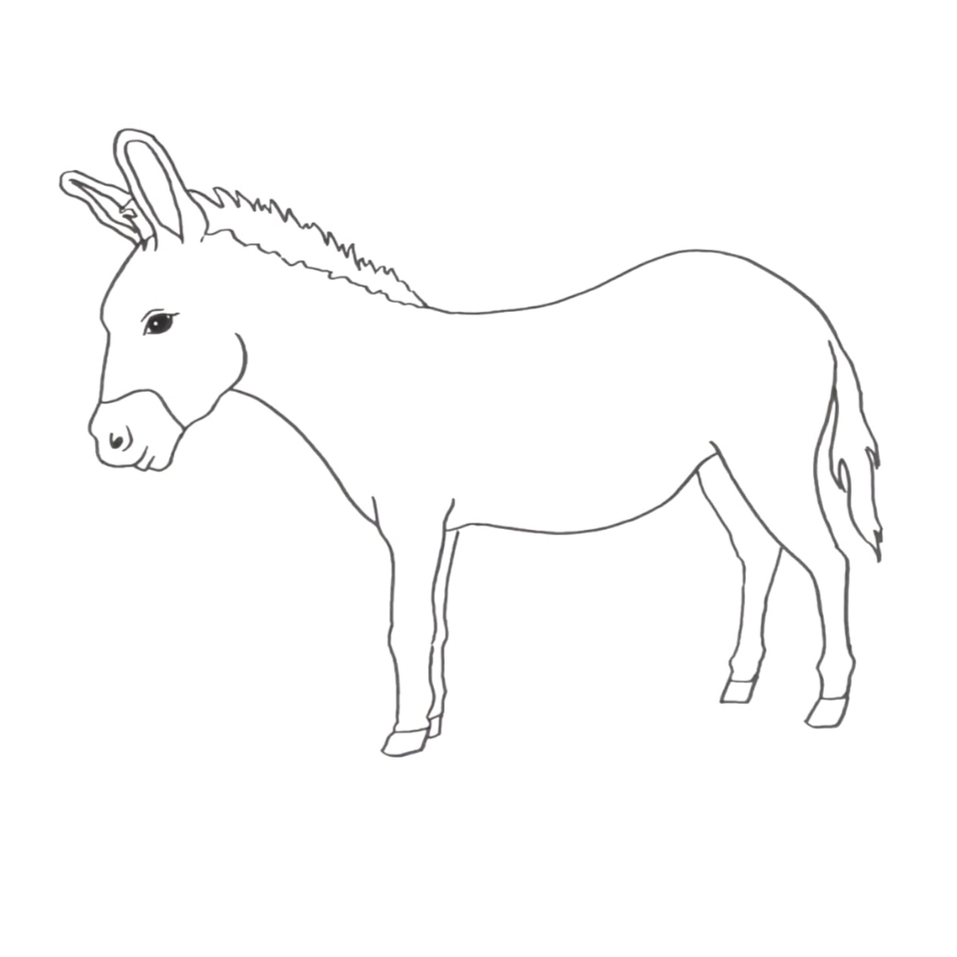 Read more about the article Easy Donkey Drawing for Kids in 2023