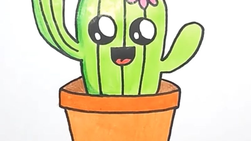 Cactus Drawing