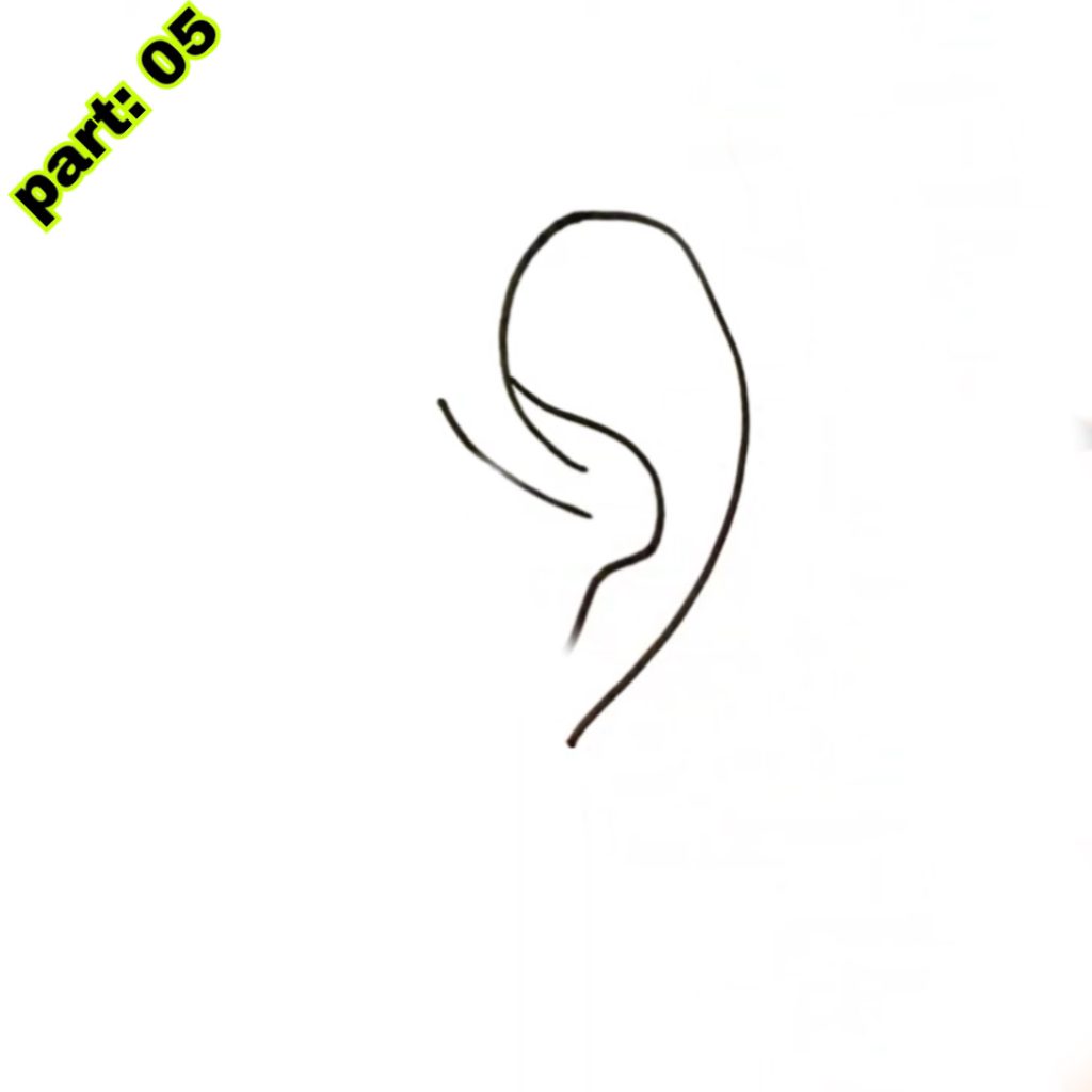 Ear Drawing Easy