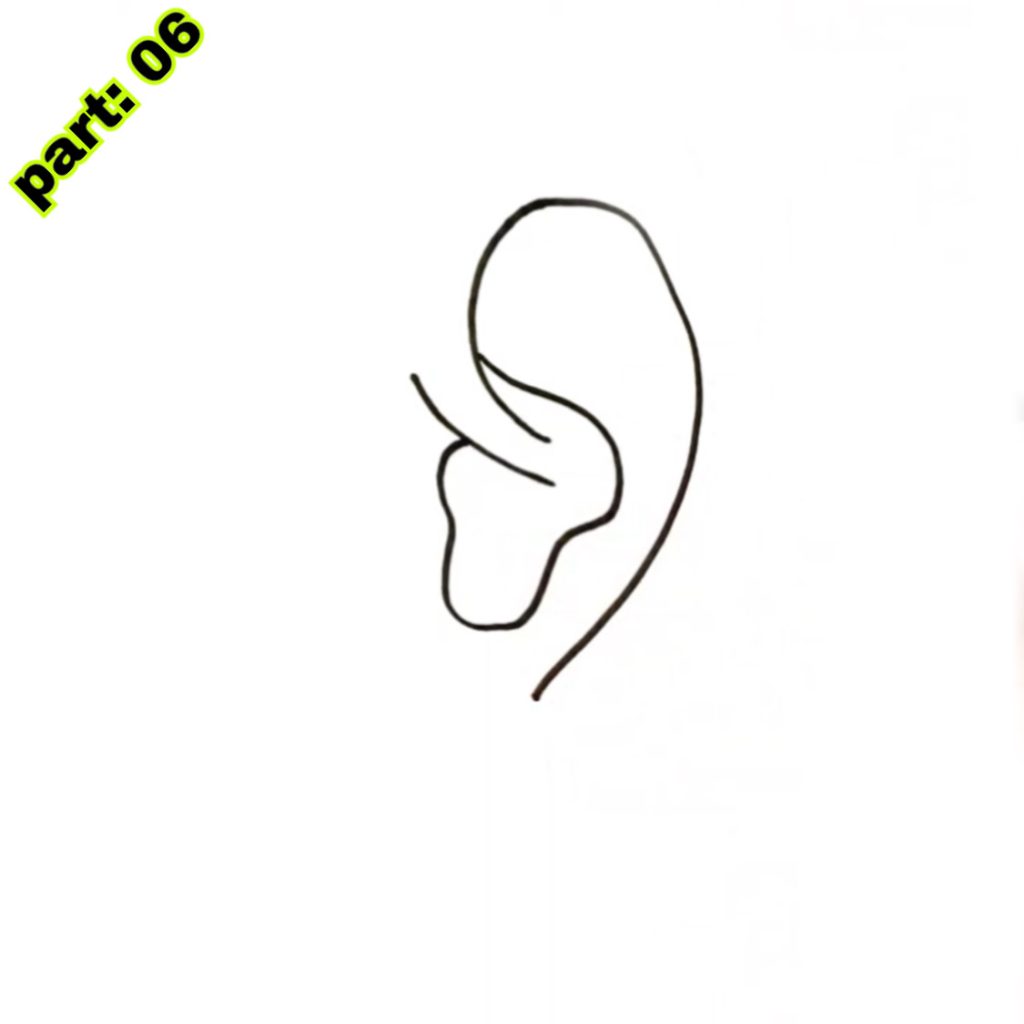 Ear Drawing Easy