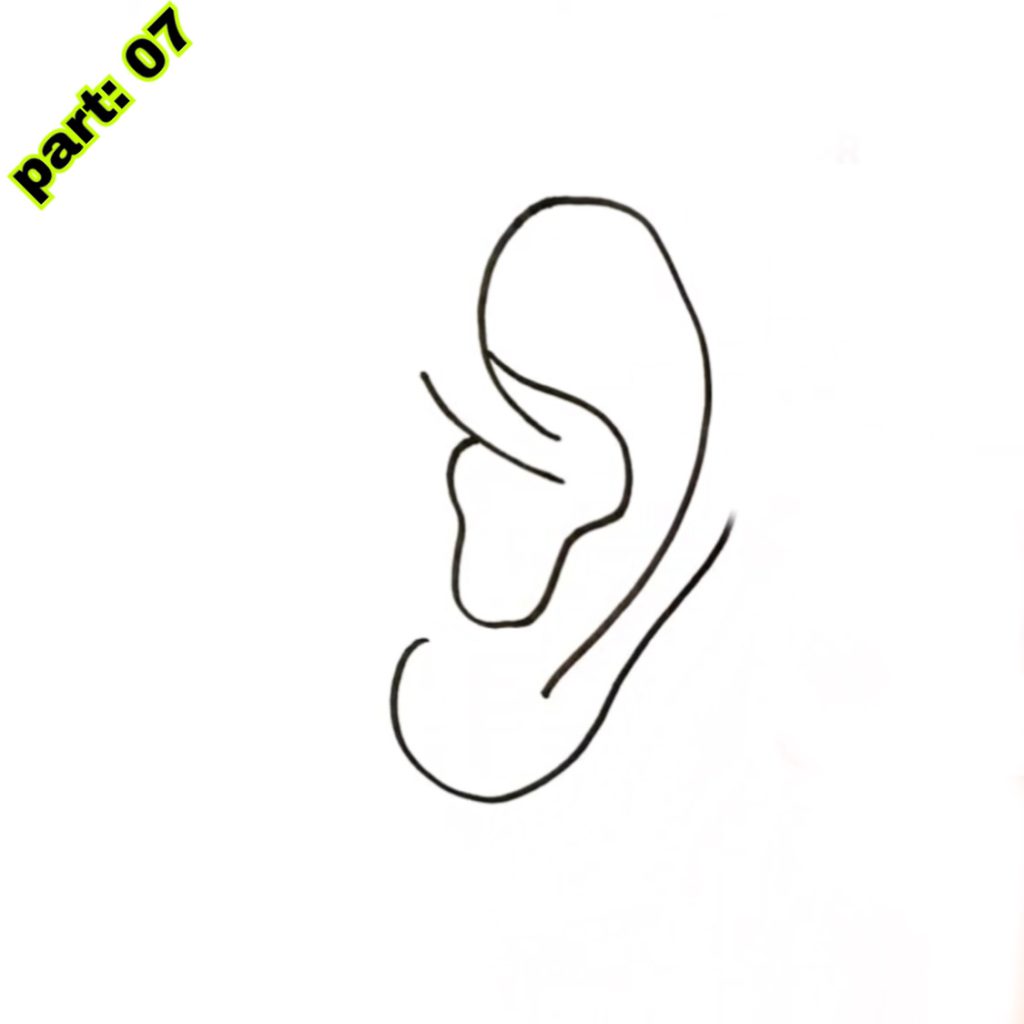 Ear Drawing Easy