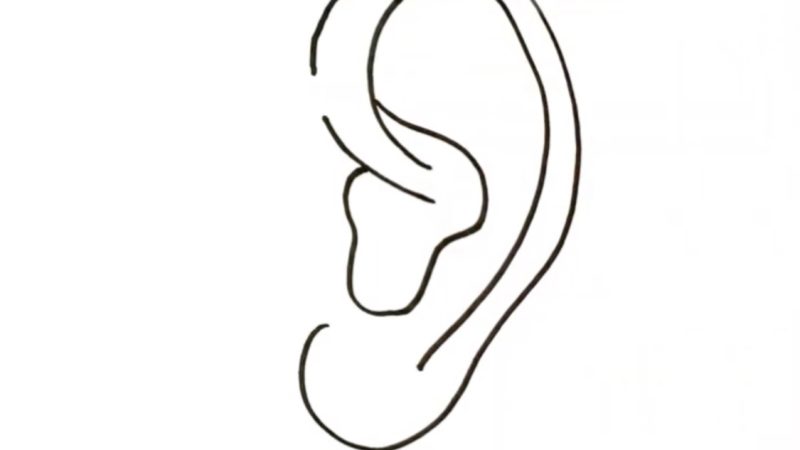 Ear Drawing Easy