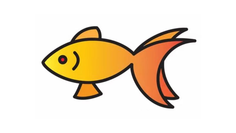 Goldfish Drawing