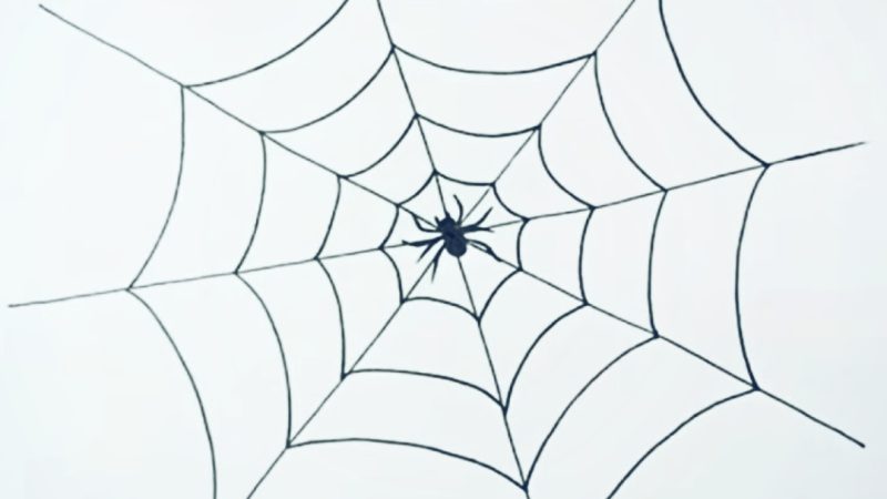 Spider Web Drawing