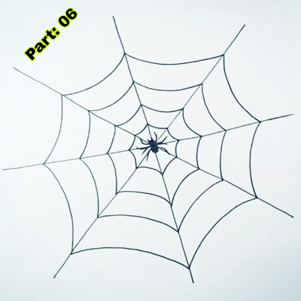 Spider Web Drawing