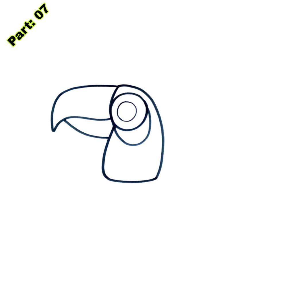 Toucan Drawing