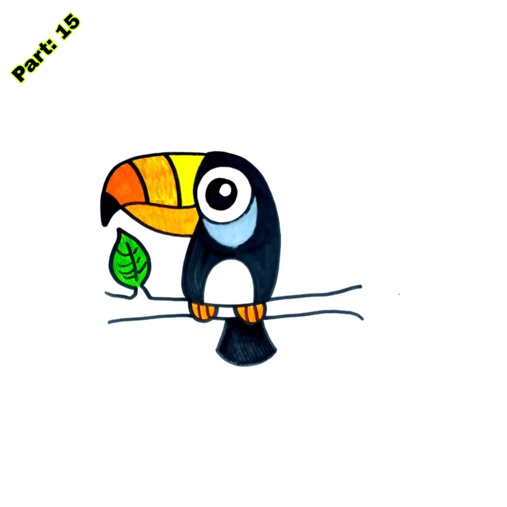 Toucan Drawing