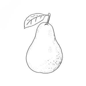 Read more about the article Amazing Pear Drawing for Kids in Under 2 Minutes.