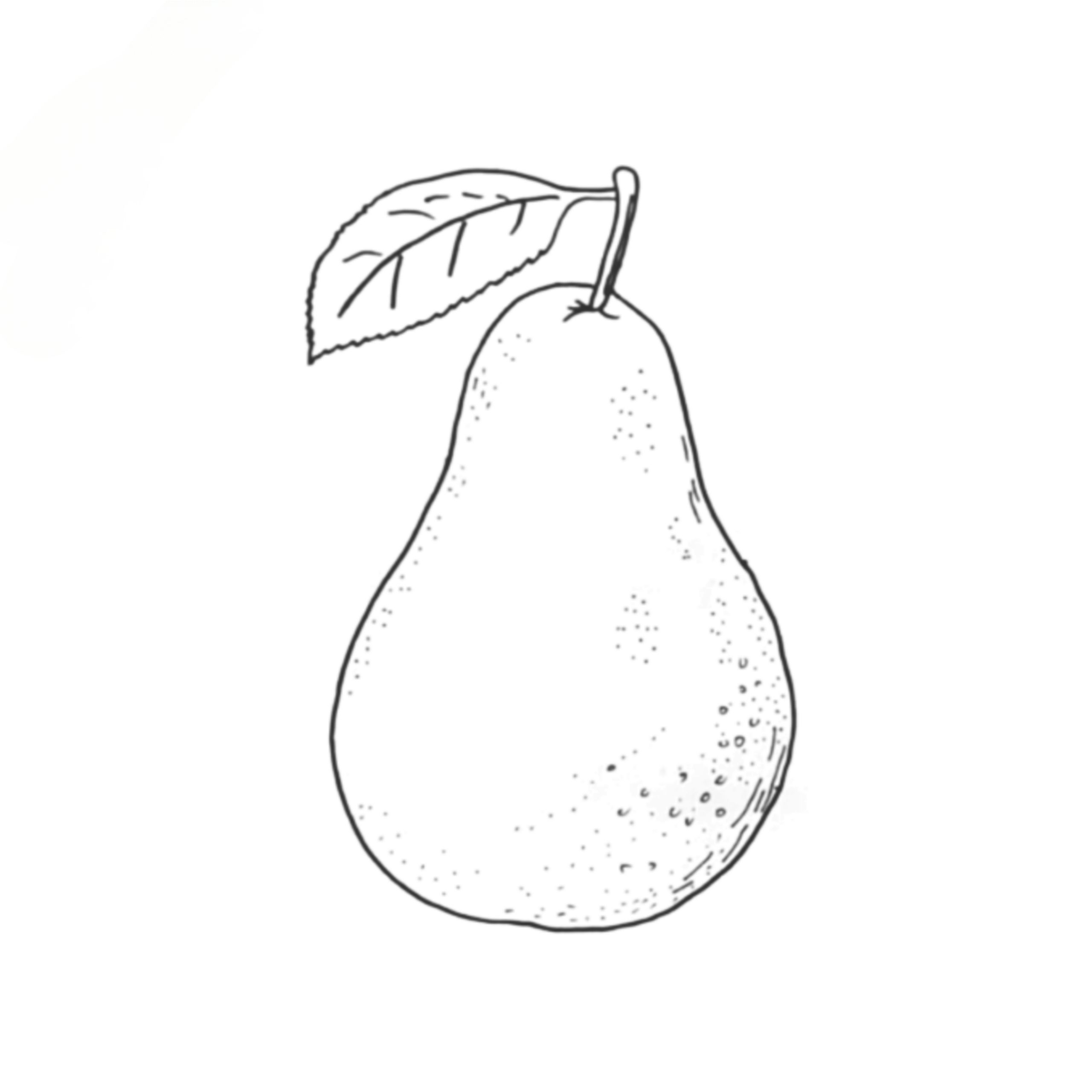 You are currently viewing Amazing Pear Drawing for Kids in Under 2 Minutes.