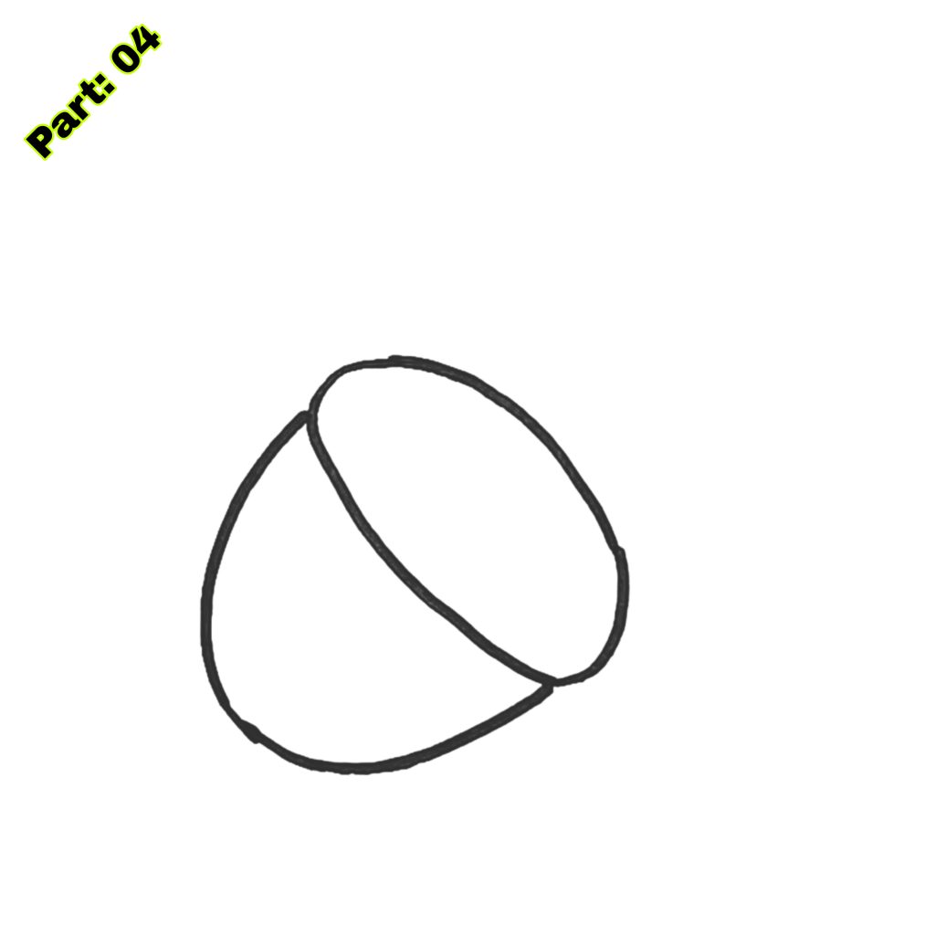 Acorn Drawing