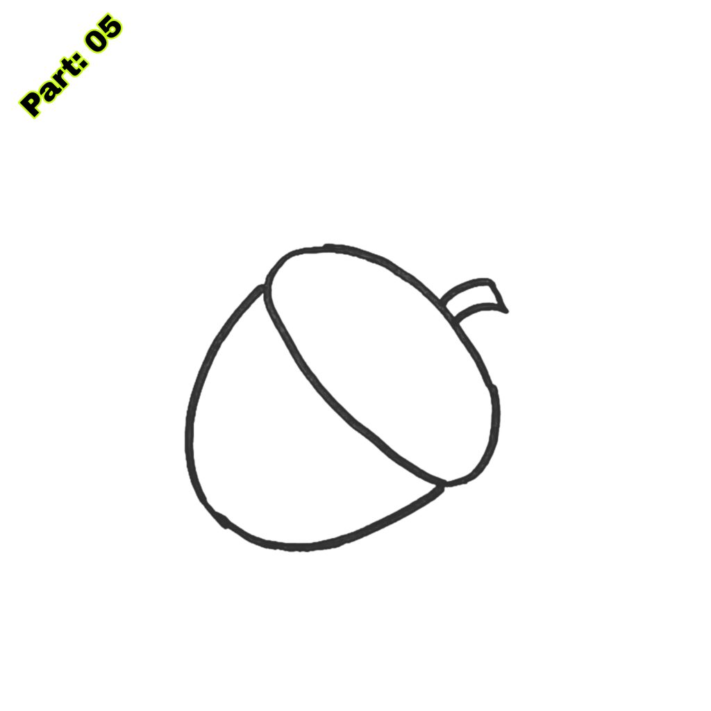 Acorn Drawing