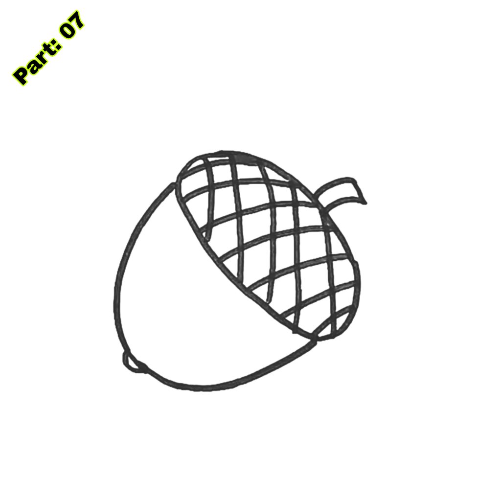 Acorn Drawing