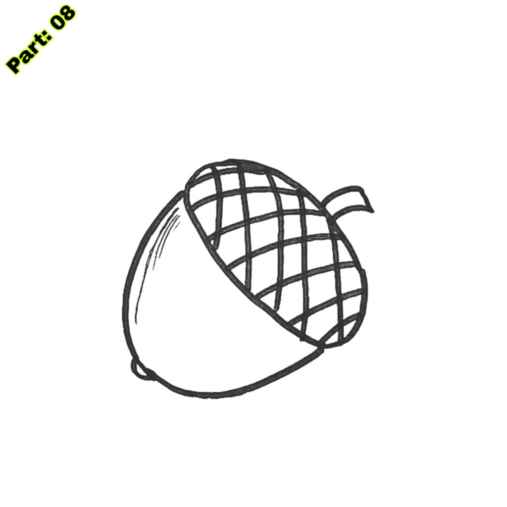 Acorn Drawing