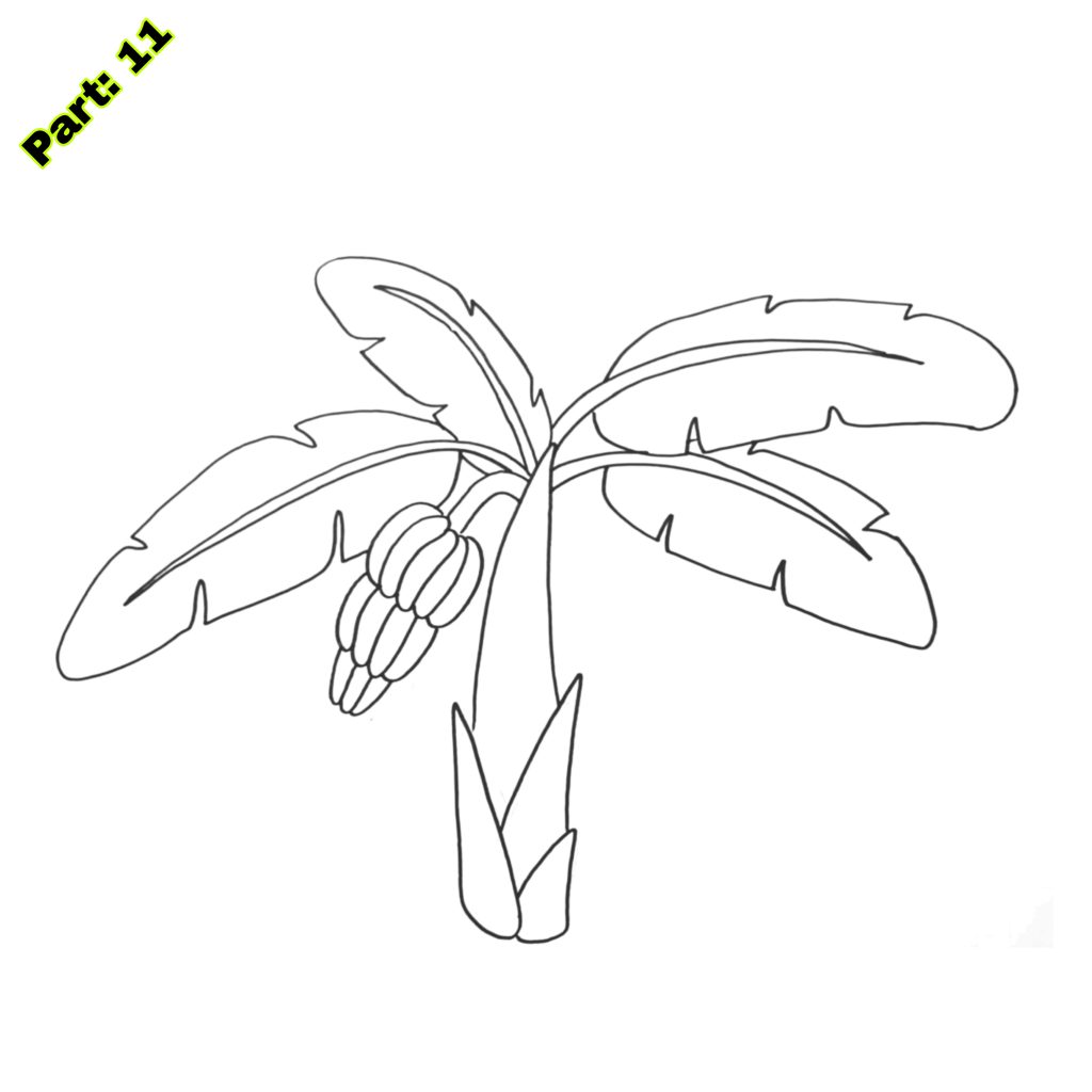 Banana Tree Drawing