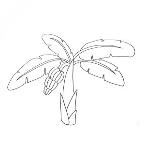 Read more about the article Exclusive Banana Tree Drawing for Kids (5X Easier)