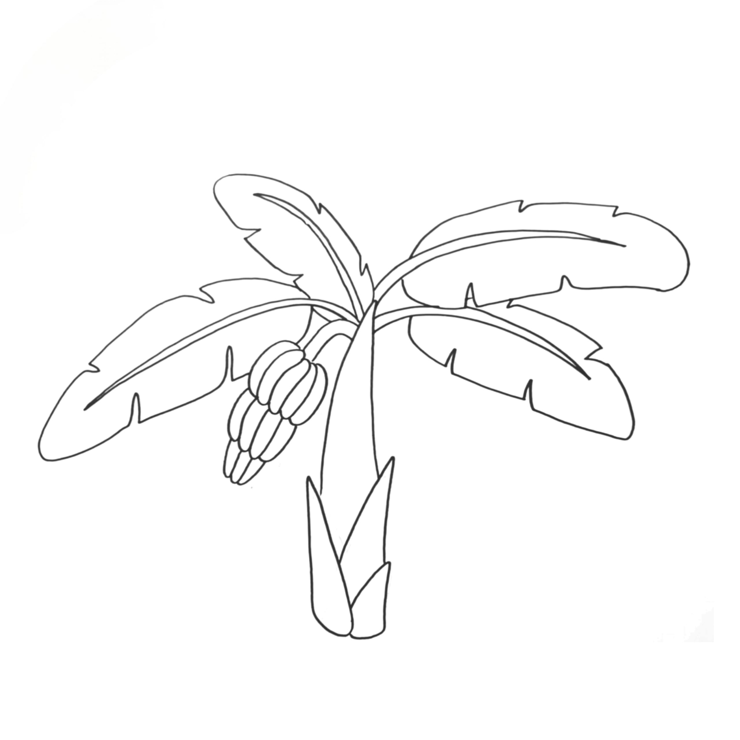 You are currently viewing Exclusive Banana Tree Drawing for Kids (5X Easier)