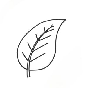 Read more about the article Easy Leaf Drawing for Kids in Just 3 Minutes