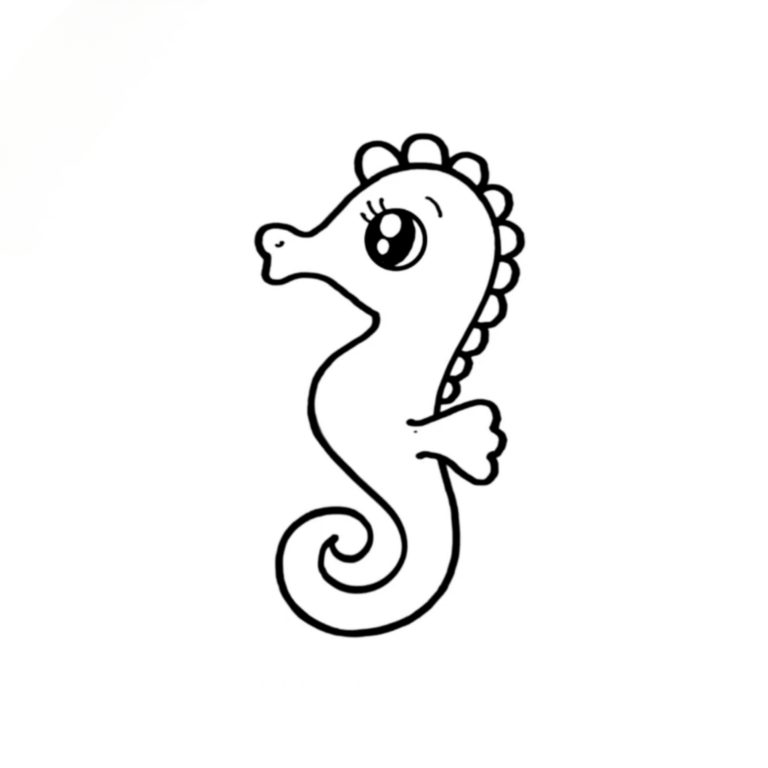 Seahorse Drawing